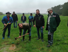 Ein seltenes Erlebnis ...