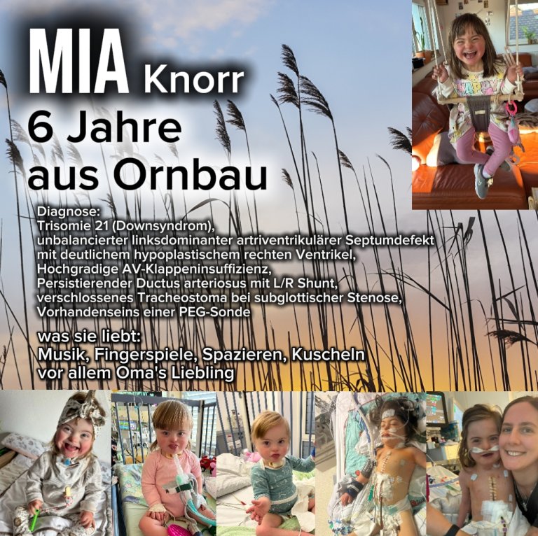 Sulzach-Strand-Opening 2026